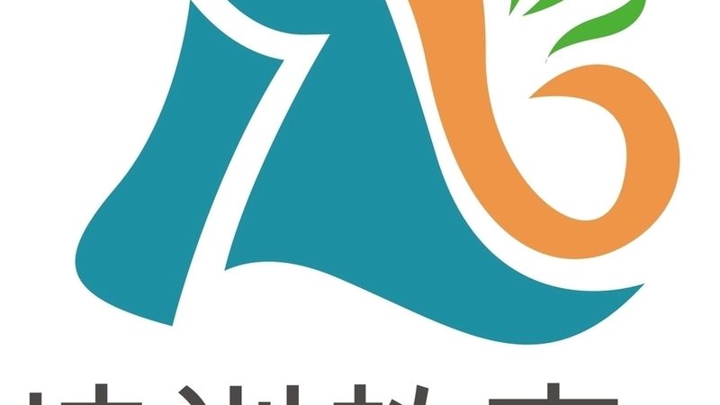 会计实操培训与考证培训：优缺点解析