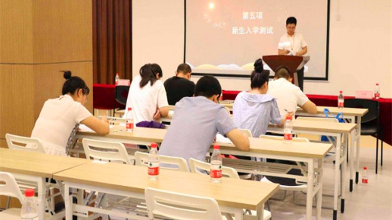 在线教育系统二次开发：费用构成与考量因素